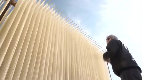 冬の日差しを浴びきらきらと輝く光景…小豆島の冬の風物詩「手延べそうめん」作り最盛期【香川】