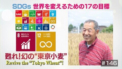 一度は生産中止になった幻の“東京小麦”復活で地域活性化を図る農家の思い