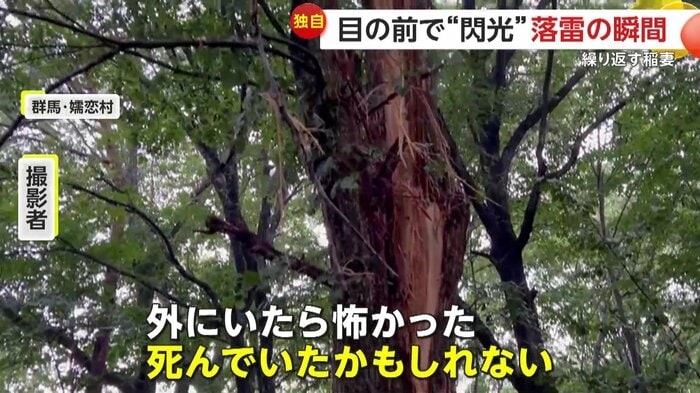 落雷で破壊された木(FNN投稿サイト「ビデオPost」)(提供:モーリー)