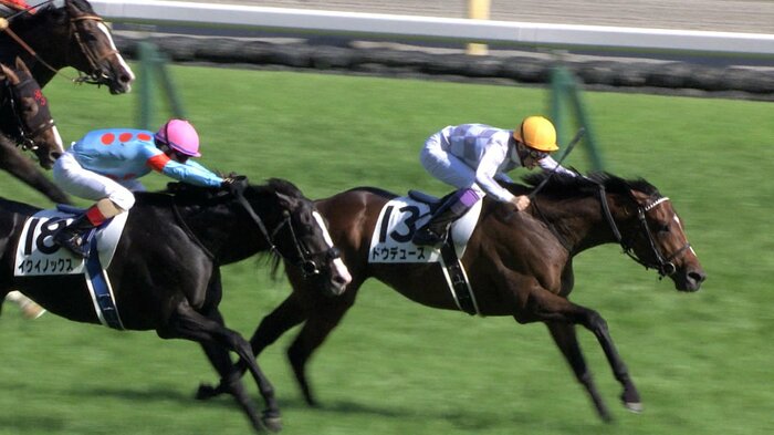 日本ダービー以来の再戦に注目が集まる