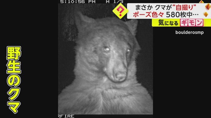 カメラの前に向かっているのは…