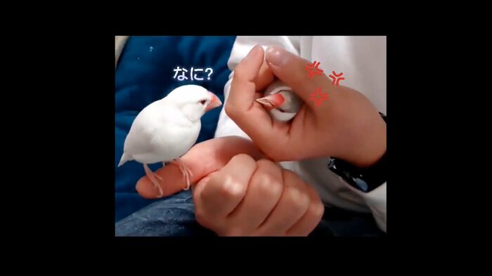 ピュー太郎くん(左)とシルバー太郎くん