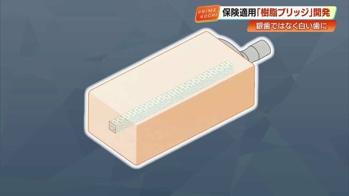 樹脂製ブロックの中心に仕込まれたガラス繊維の芯材