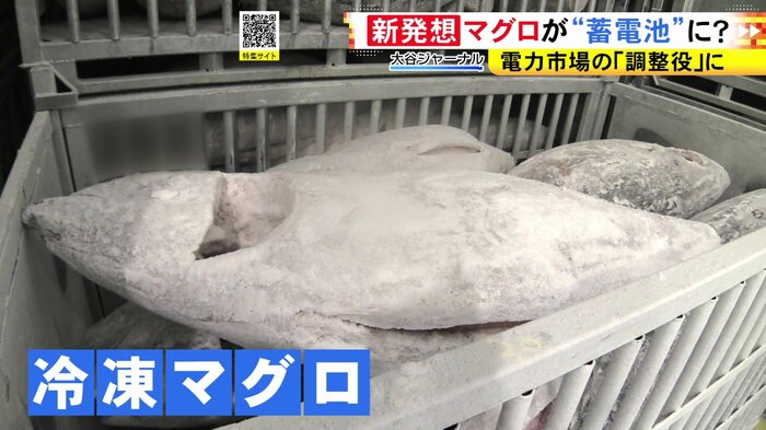 ニュースONE