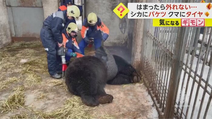 タイヤに切り込みを入れる救急隊員