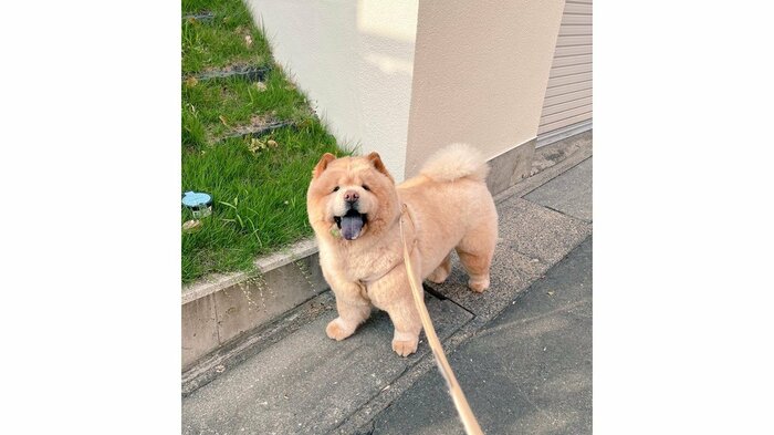正面から