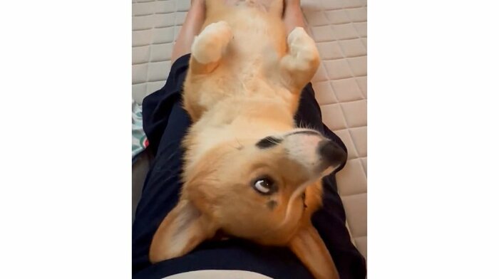 音が聞こえる方をキョロキョロしていたという
