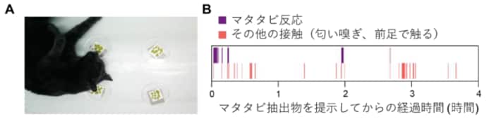 (出典:岩手大学)