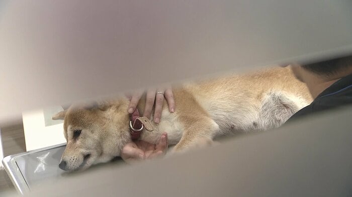 敗血症の可能性が…