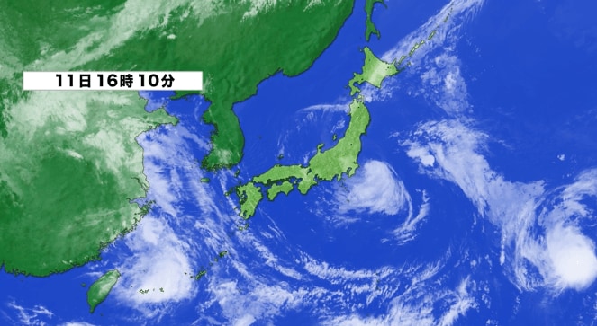 衛星画像
