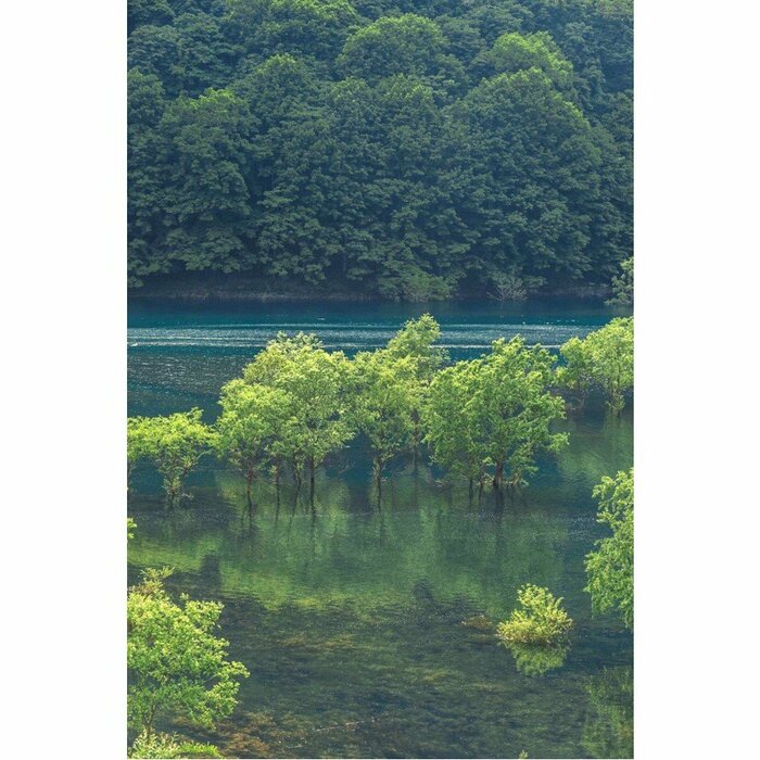 秋田県仙北市(2024年6月撮影)