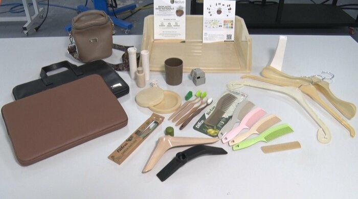 オリーブプラの製品