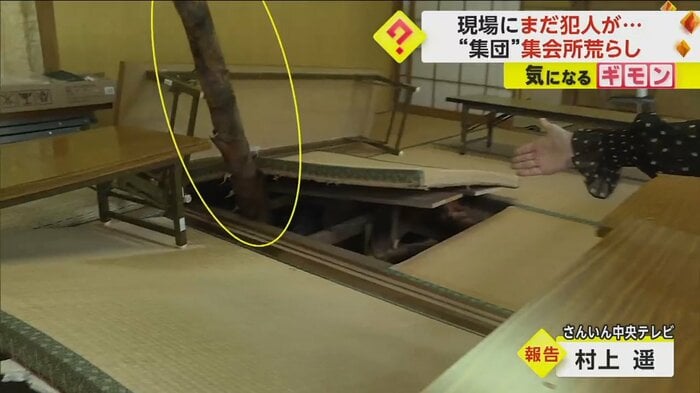 畳の下からタケノコが生えている