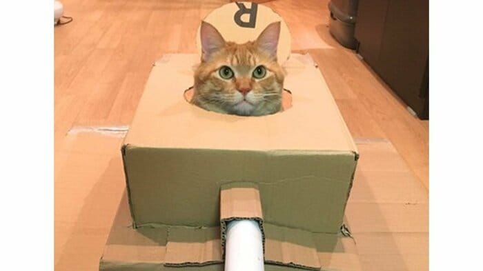 見よ!この表情