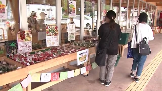 お盆の朝市で農家を応援!新鮮野菜を安く販売へ(鳥取・日南町)
