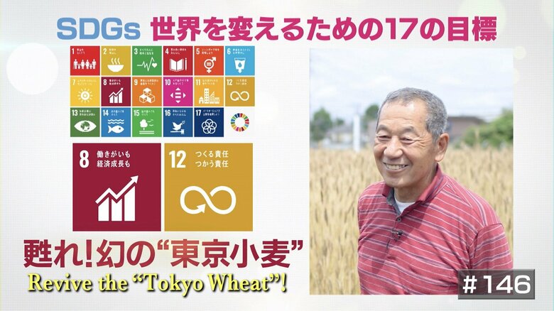 一度は生産中止になった幻の“東京小麦”復活で地域活性化を図る農家の思い