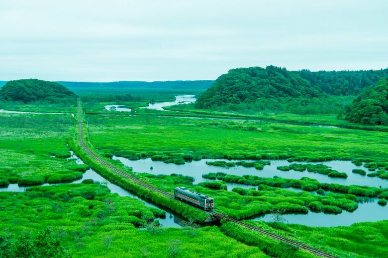 まるでアニメの1シーン…日本最東端を走る「花咲線」はナゼ湿原に線路を敷いたのか？担当者に聞いてみた｜FNNプライムオンライン