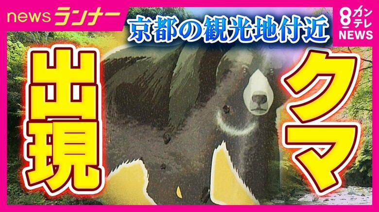 【現場報告】京都・嵐山付近でクマ目撃情報「体長1.8メートルのクマ1頭と小グマ2頭」「北に逃げて行った」　遭遇したら“騒がずに後ずさりを”｜FNNプライムオンライン