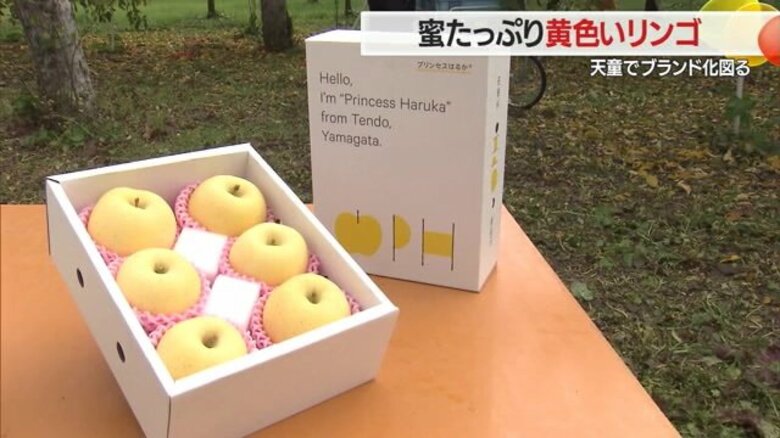 蜜たっぷり！淡い黄色が美しいリンゴ「はるか」　糖度16度以上で蜜入りが特に良い「プリンセスはるか」も販売【山形発】｜FNNプライムオンライン