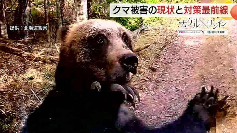 相次ぐクマ被害どうする!?　“保護”か“駆除”かで揺れる対応　一時絶滅の危機も過去最多に増加【島根発】｜FNNプライムオンライン