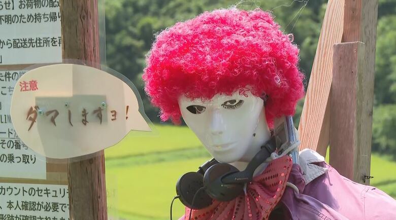 人気キャラや特殊詐欺犯も　日本の棚田百選「よこね田んぼ」で“かかしコンテスト”　世相を反映した10体　投票すると抽選で新米プレゼント　9月23日まで　長野・飯田市｜FNNプライムオンライン