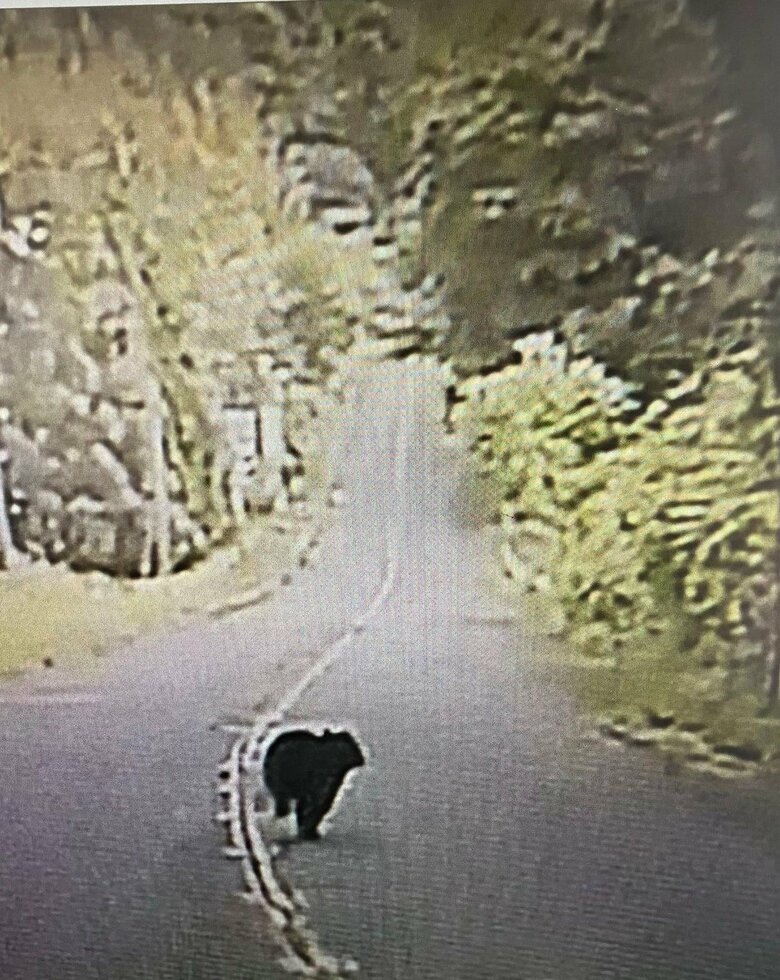 【速報】奈良・天理市でクマが出没　目撃した人から警察に通報　付近の住民や小中学校に注意呼びかけ｜FNNプライムオンライン