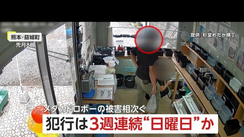 「お金を入れるそぶりだけ」3週連続“日曜日”にメダカ泥棒…待ち構えていた警察官に逮捕された会社員（44）「支払いを忘れただけ」　熊本・益城町｜FNNプライムオンライン