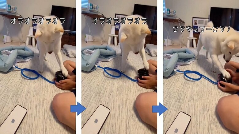 だい吉くん自ら空気を入れ始めるが…