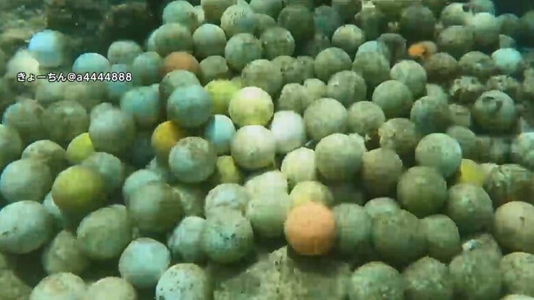 海底の至るところに沈むゴルフボール（11月10日 沖縄・宮古島）