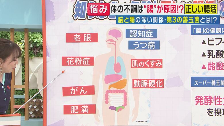 体の不調の9割は「腸」が関係（関西テレビ「旬感LIVE とれたてっ！」より）