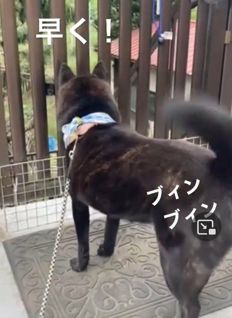 声を上げてアピールする様子も