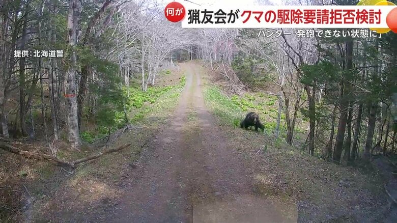 ヒグマが車に突進してフロントガラスとワイパーを破壊する様子