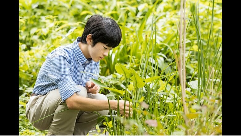 秋篠宮邸庭にて　写真提供　宮内庁