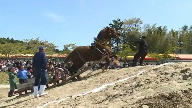 大会には涌谷町の人口を超える観客が訪れる