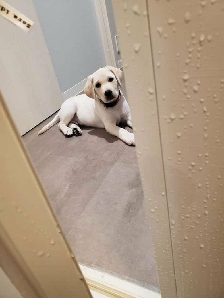 小さい頃からの習慣