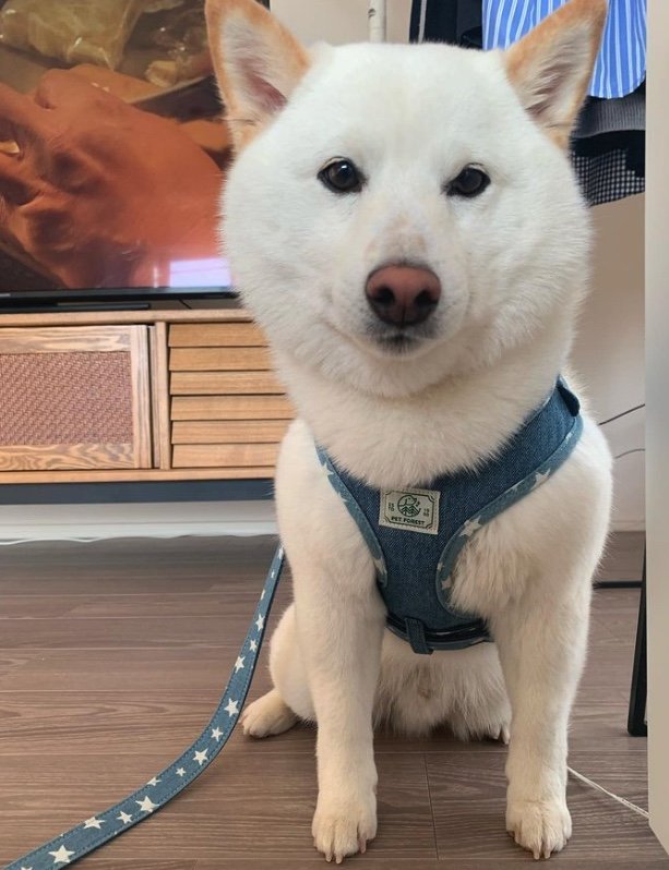 提供：ラッキーさん