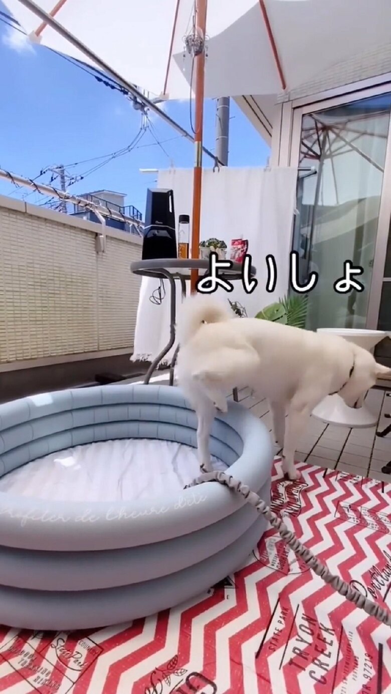 「よいしょ」