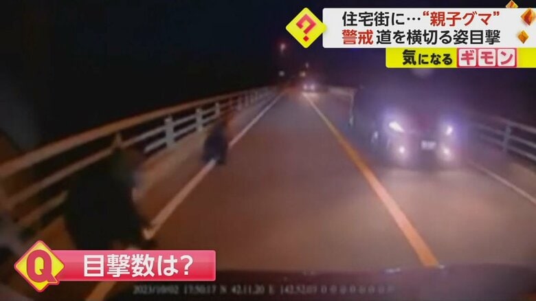 2日、北海道･浦河町の橋を走る車から撮影された2頭のクマ