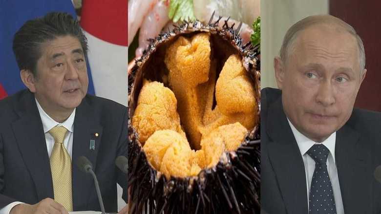 プーチンが仕掛けた「ウニ・イチゴ隠し」の真相 日露外交の舞台裏