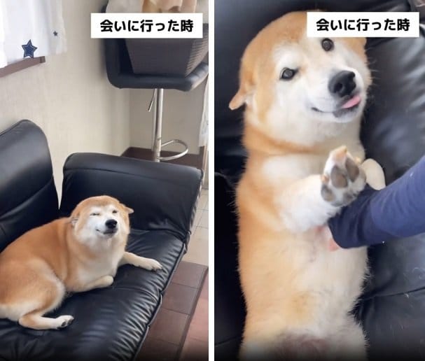 ニッコニコのはるちゃん