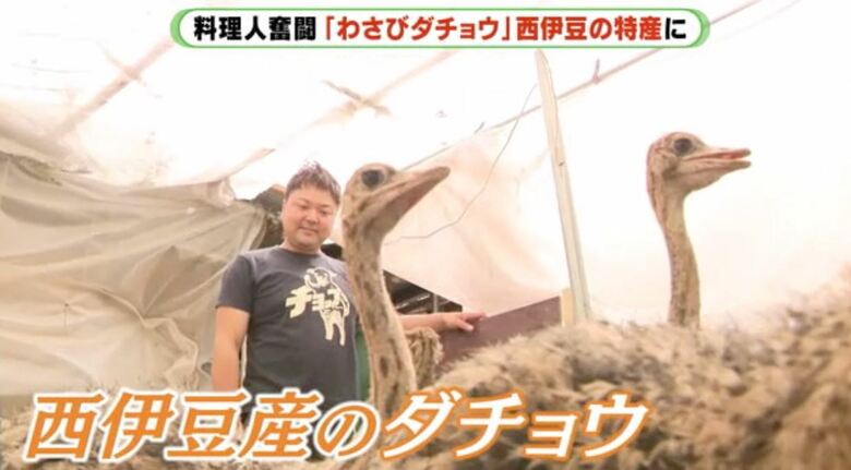 めざすのは地元・西伊豆産