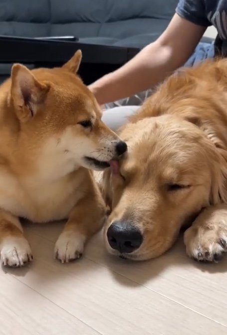 提供：うにandおからさん