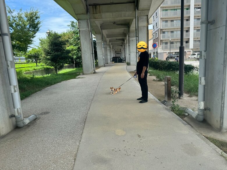 夏の散歩拒否は汗だくになる…（提供：わさび一族さん）