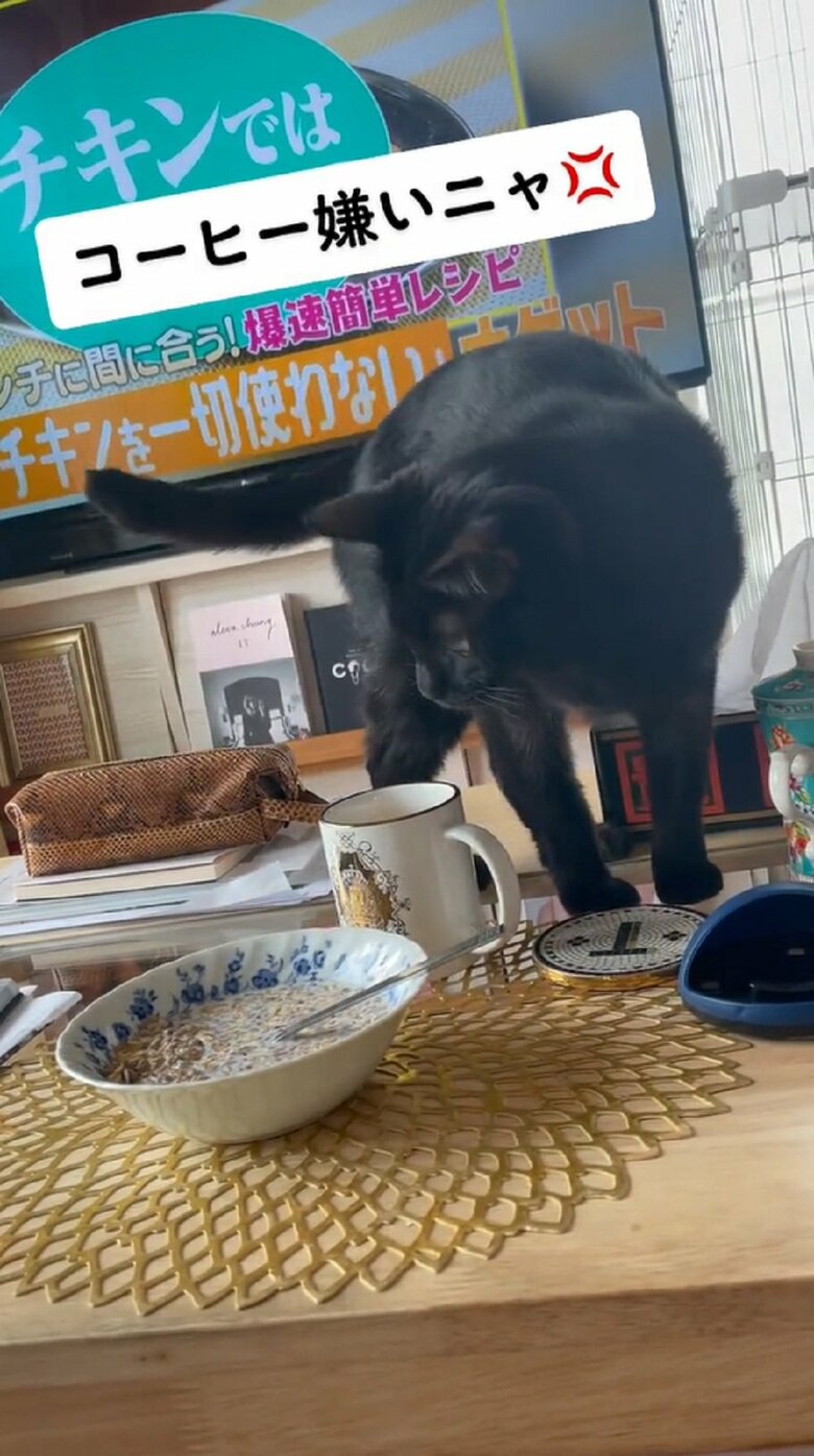 確認しているようだが…