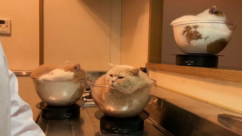 提供：みかんとじろうさんちさん