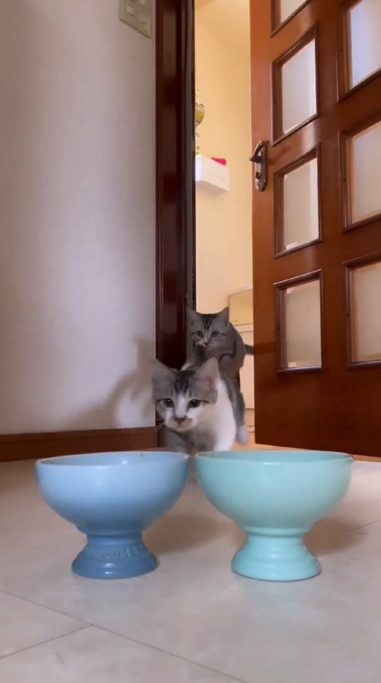 詩季くんも追いかける