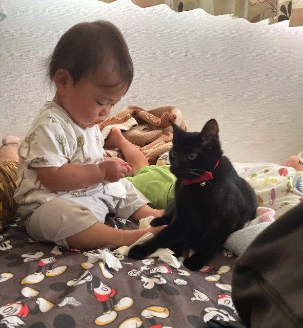 提供：ゴンゾウR4さん