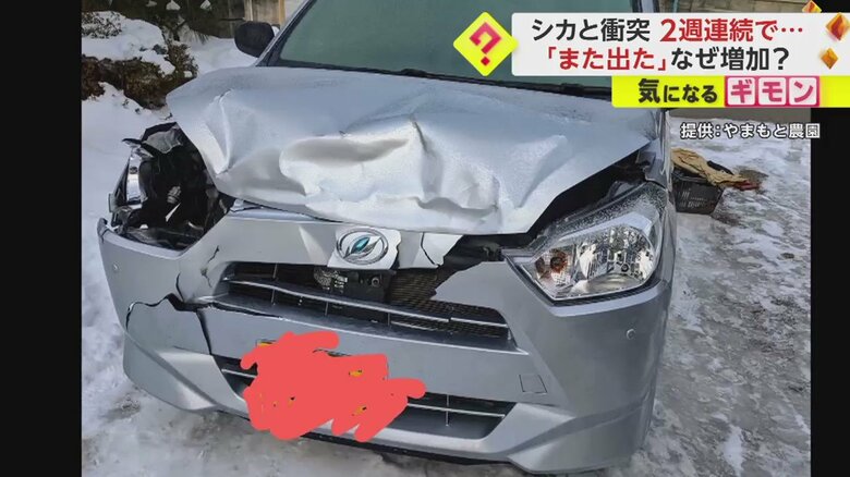シカとぶつかった衝撃で大破した車