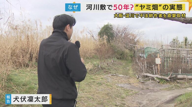 淀川の河川敷にある“畑”