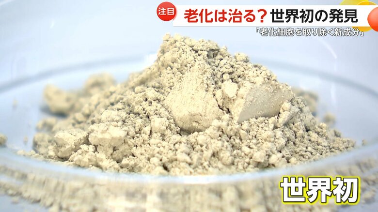 ファンケルが発表した老化細胞を取り除く作用があるという成分